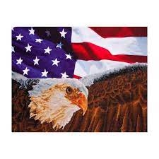 DIAMAND DOTZ BALD EAGLE & FLAG ()